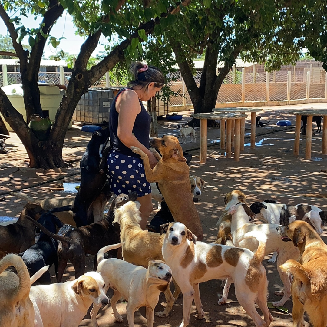 Ana Raquel com os cães resgatados